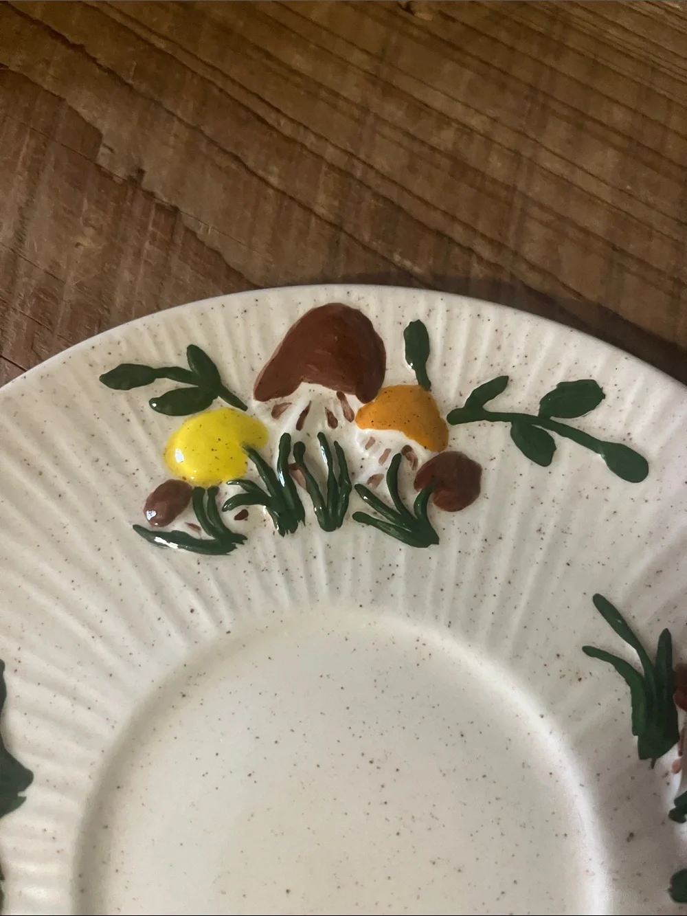 Arnels Hand-Painted Ceramic Soup Plate